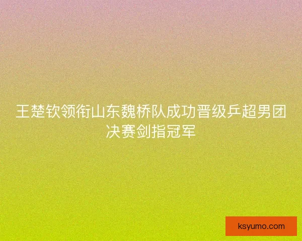 王楚钦领衔山东魏桥队成功晋级乒超男团决赛剑指冠军