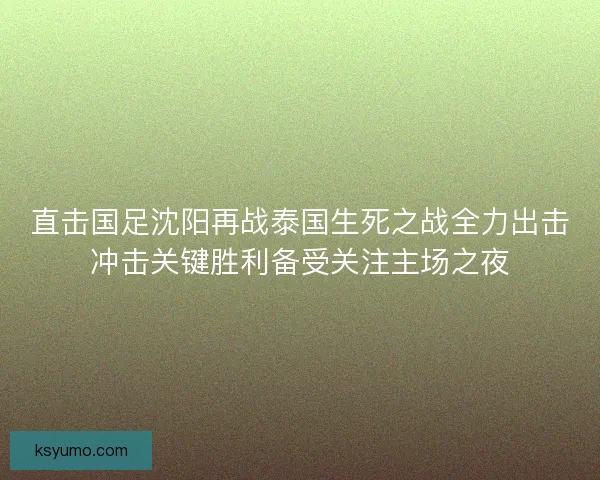 直击国足沈阳再战泰国生死之战全力出击冲击关键胜利备受关注主场之夜